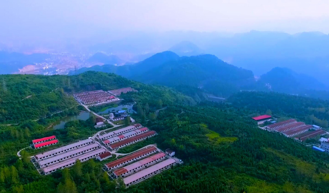 鐵騎力士牧業(yè)科技工匠篇