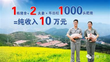 【媒體報(bào)道】鐵騎力士1211豬場(chǎng)托管引領(lǐng)養(yǎng)豬領(lǐng)域發(fā)展