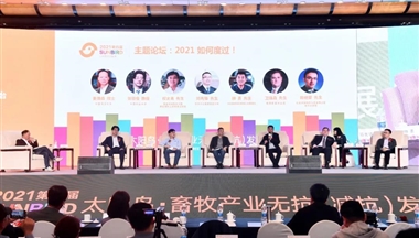 2021如何度過？鐵騎力士集團運營總裁鄧先鋒在“太陽鳥”