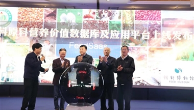 在這件事上，我們終于擺脫了對(duì)國(guó)外的長(zhǎng)期依賴(lài)！