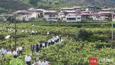 這次現場會中，有哪些經驗值得學習推廣？ 農業農村廳廳
