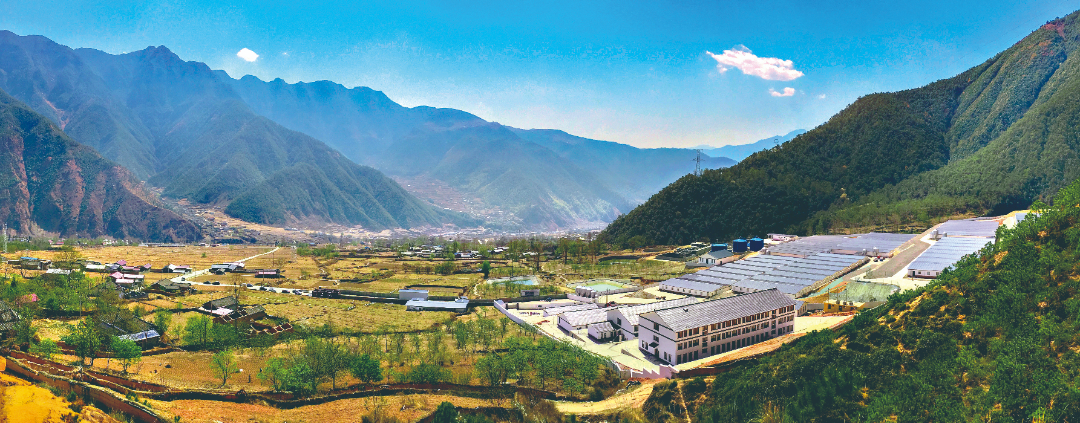 鐵騎力士集團(tuán)與涼山州喜德縣人民政府共同建成30萬頭生豬現(xiàn)代循環(huán)養(yǎng)殖擴(kuò)繁場(chǎng)，直接帶動(dòng)當(dāng)?shù)刎毨?359戶，實(shí)現(xiàn)戶均年增收3000-5000元。.jpg