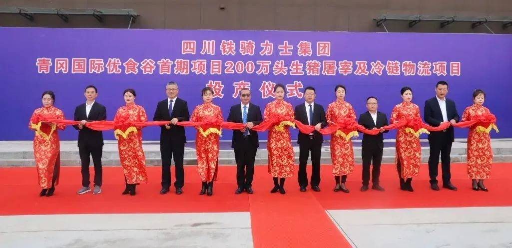 歷時(shí)2年！又一重大項(xiàng)目正式投產(chǎn)！